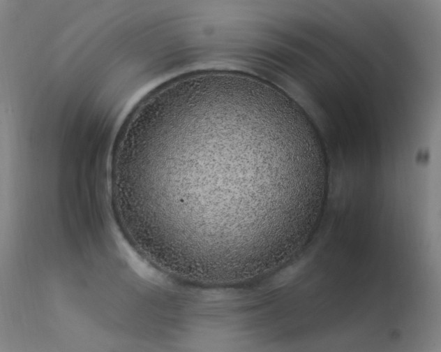 X0000113330988200909211216