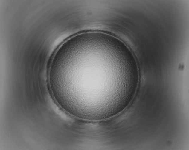 X0000113330990200909211216