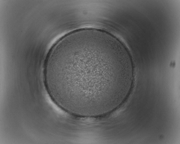 X0000113330991200909211216