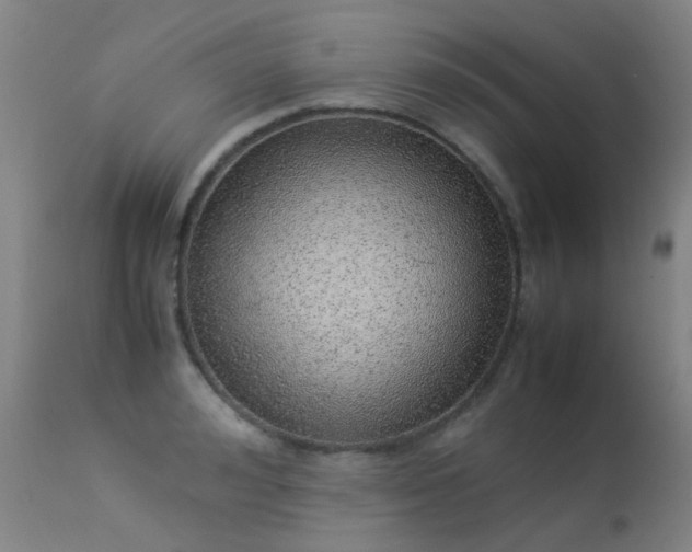 X0000113330992200909211216