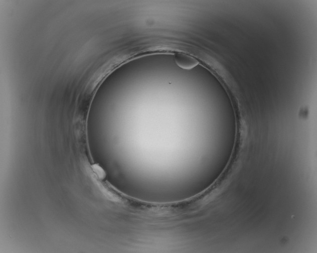 X0000113330993200909211216