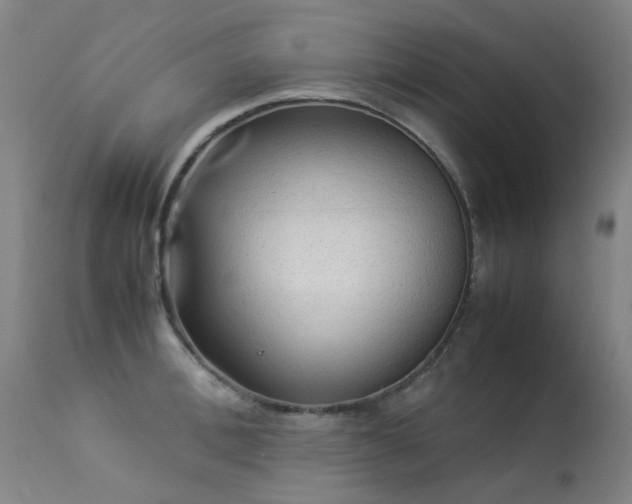X0000113330996200909211216