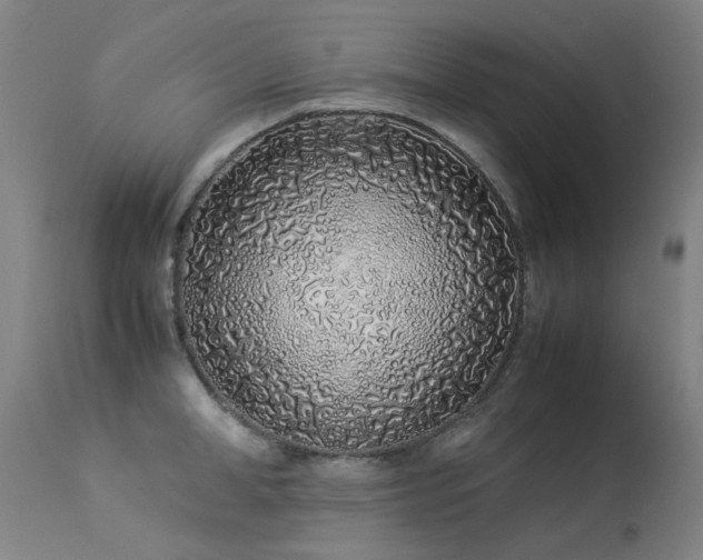 X0000113330998200909211215