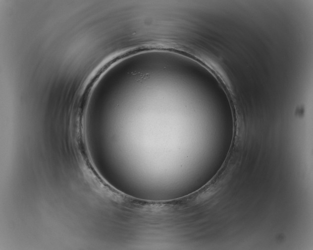 X0000113331000200909211215