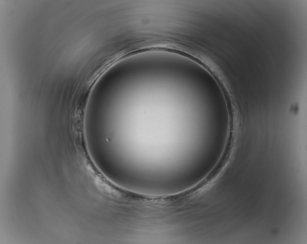 X0000113331001200909211215