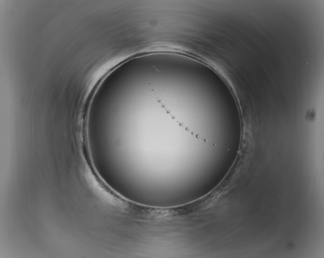 X0000113331003200909211215