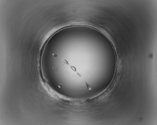 X0000113331005200909211215
