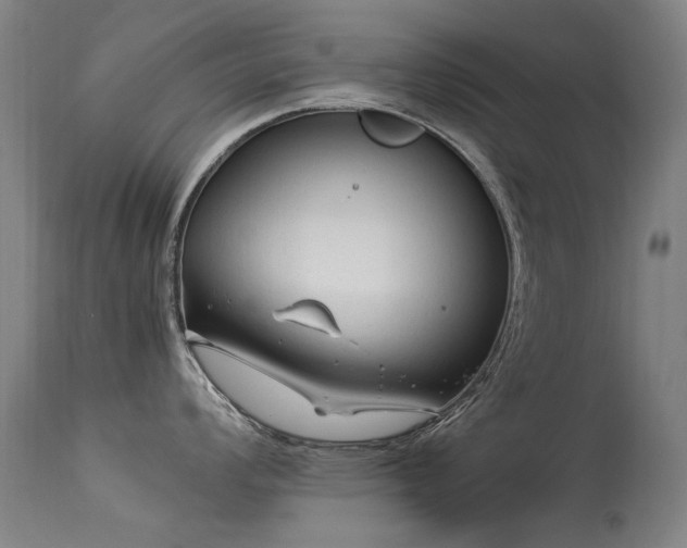 X0000113331008200909211215