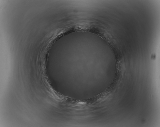 X0000113331009200909211214