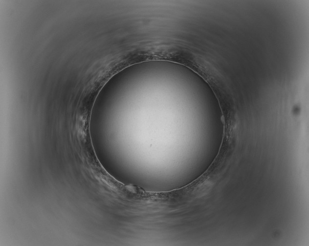 X0000113331010200909211214