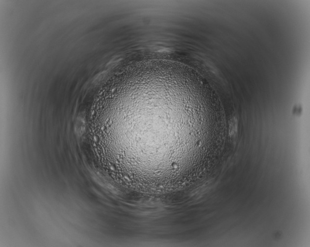 X0000113331011200909211214