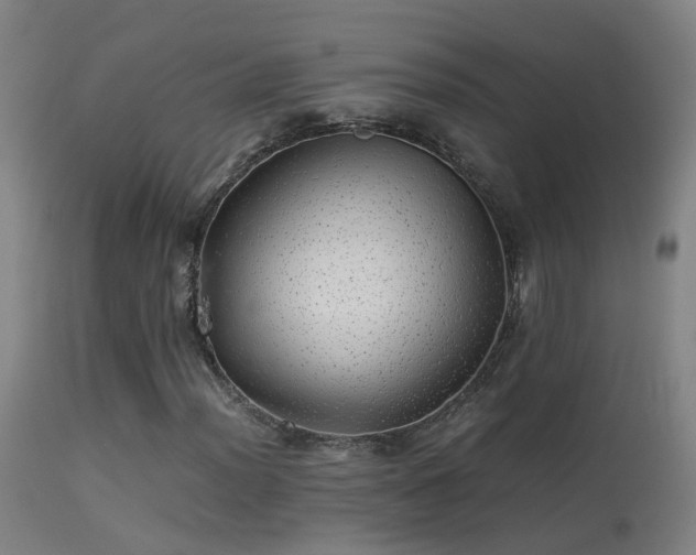 X0000113331012200909211214