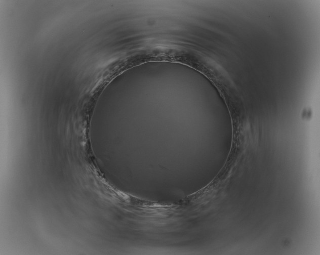 X0000113331013200909211214