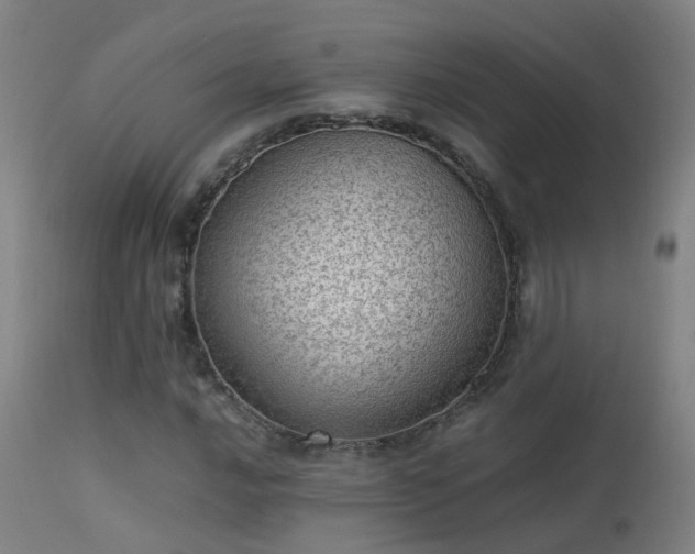 X0000113331016200909211215
