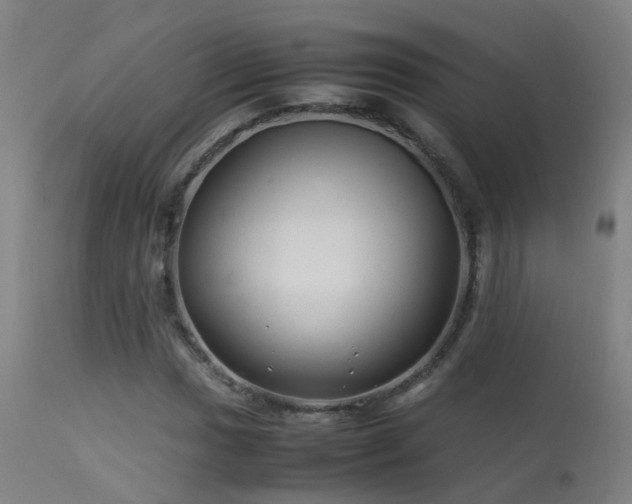 X0000113331017200909211215