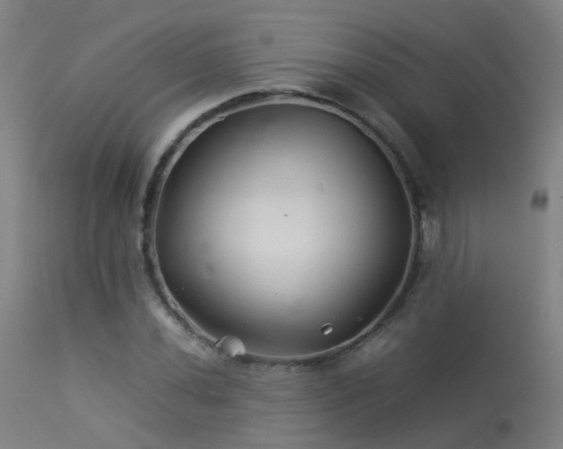X0000113331020200909211215