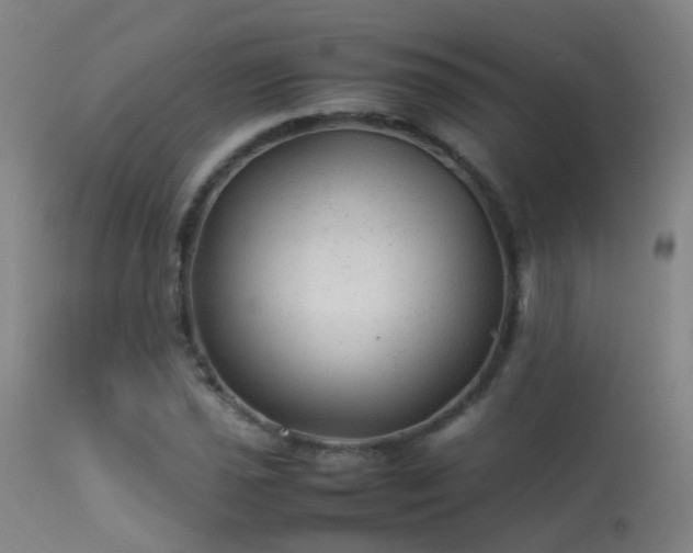 X0000113331021200909211215