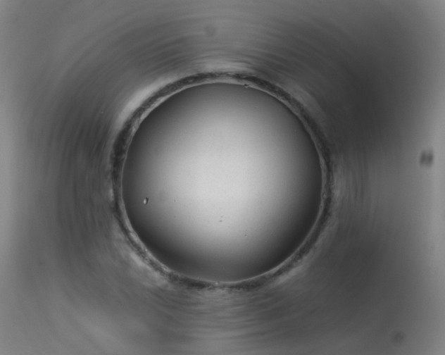 X0000113331022200909211215