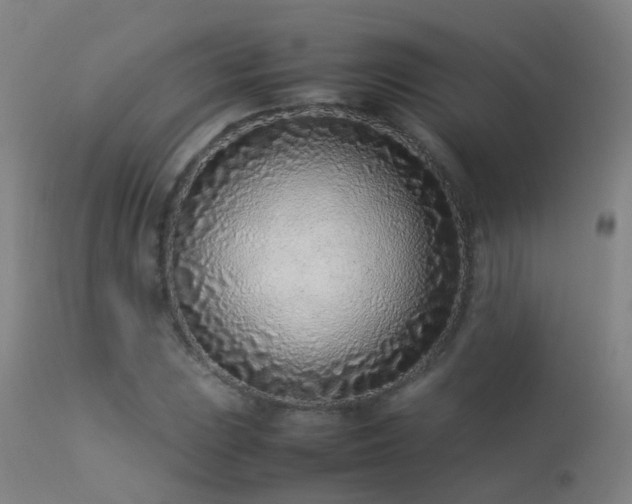 X0000113331023200909211215