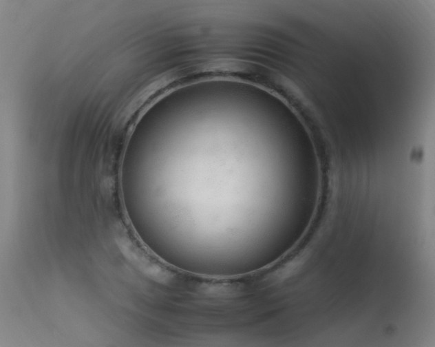 X0000113331025200909211215