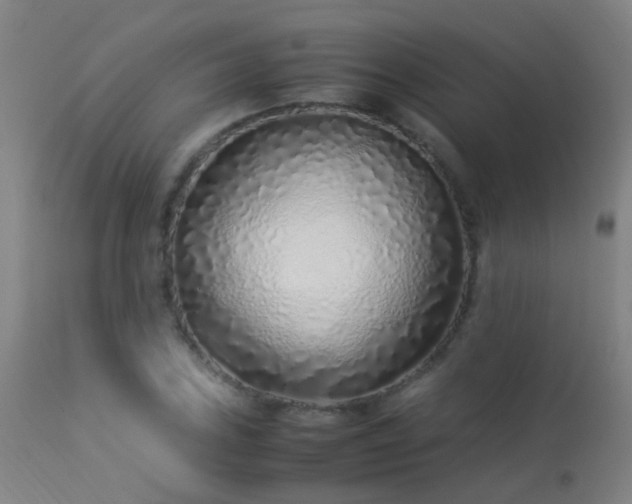 X0000113331027200909211215
