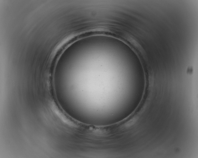 X0000113331029200909211215