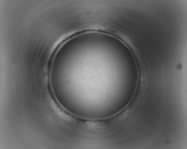 X0000113331032200909211215