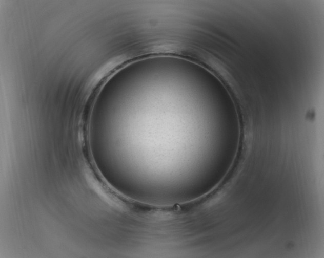 X0000113331034200909211215