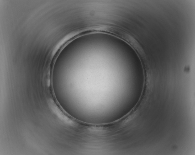 X0000113331036200909211215