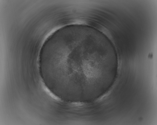 X0000113331037200909211215