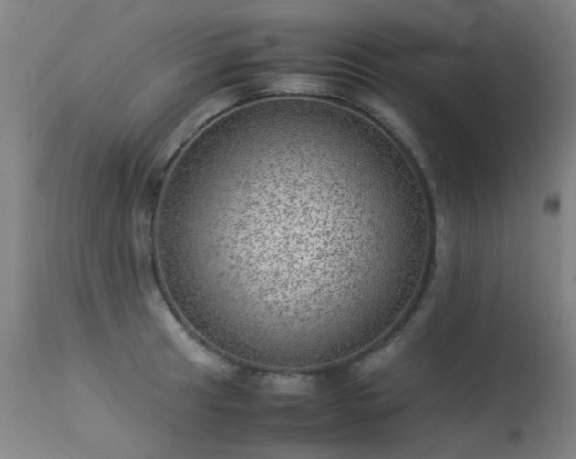 X0000113331041200909211215