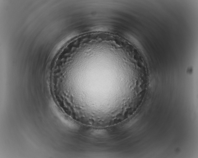 X0000113331043200909211215