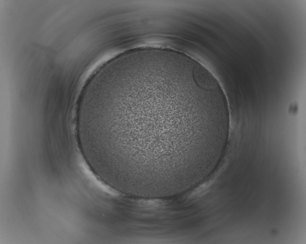 X0000113331045200909211215