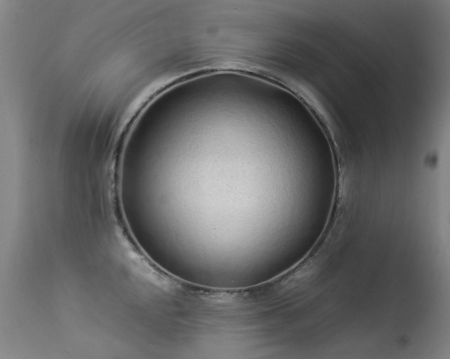 X0000113331048200909211215