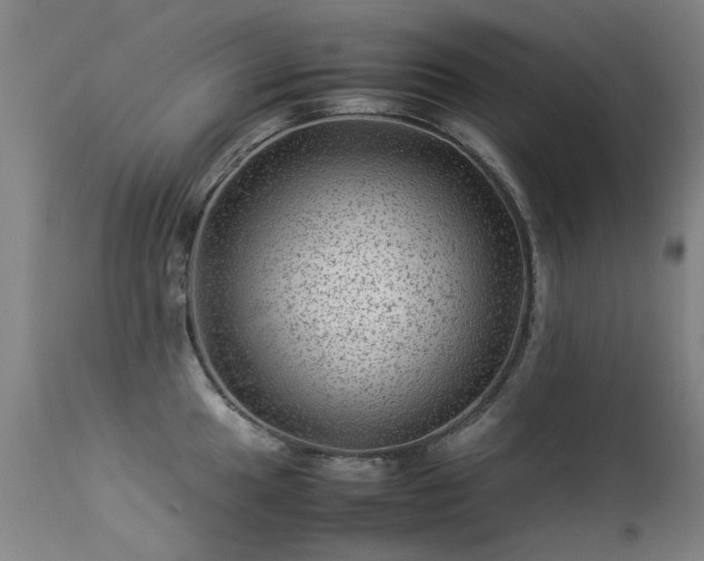 X0000113331049200909211215