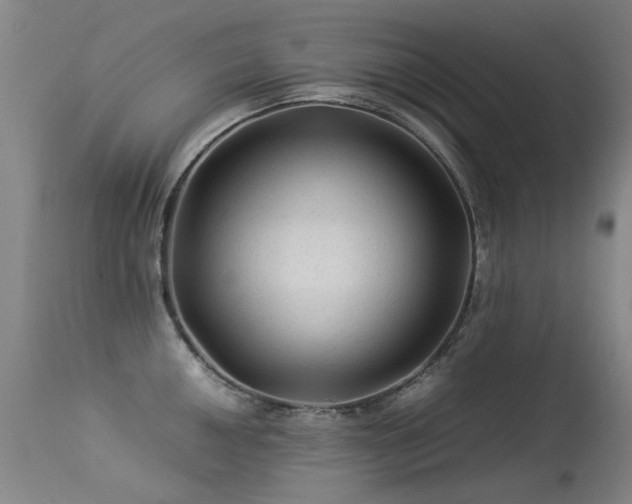 X0000113331050200909211215