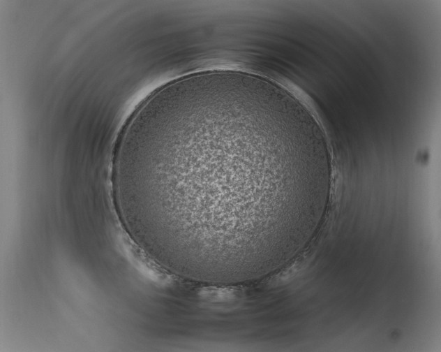 X0000113331051200909211215