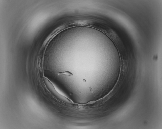 X0000113331052200909211215