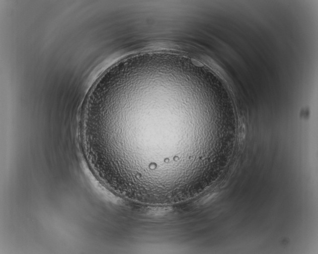 X0000113331055200909211215