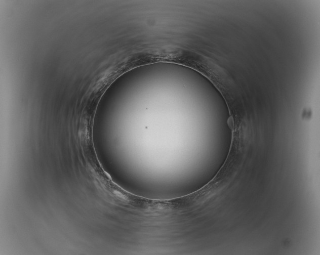 X0000113331058200909211214