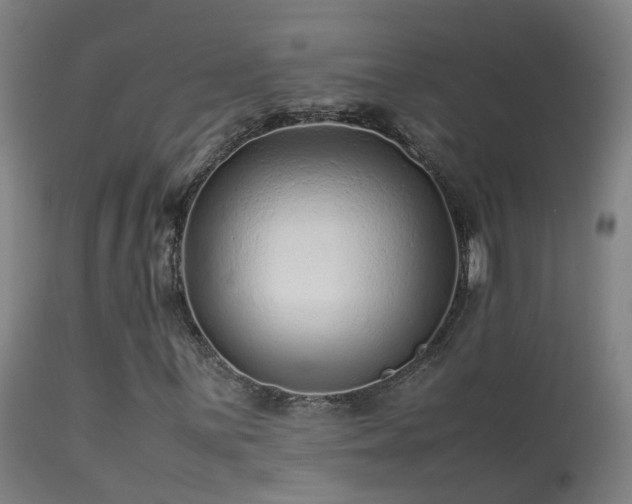 X0000113331059200909211214