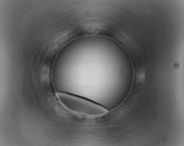 X0000113331060200909211214