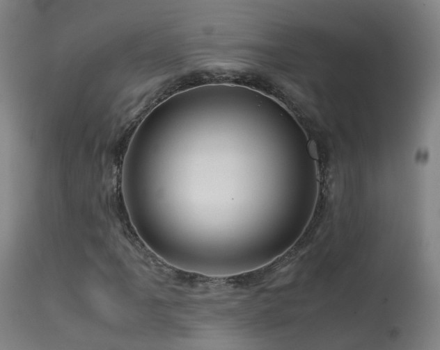 X0000113331061200909211214