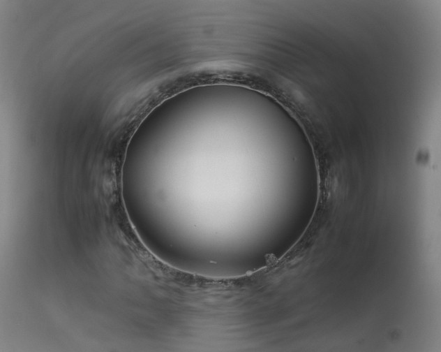 X0000113331062200909211214