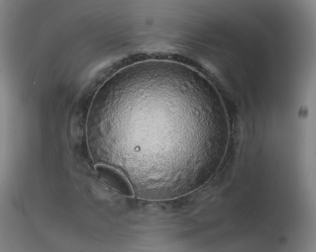 X0000113331063200909211214