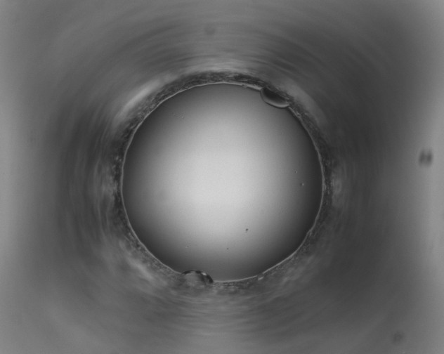 X0000113331064200909211214