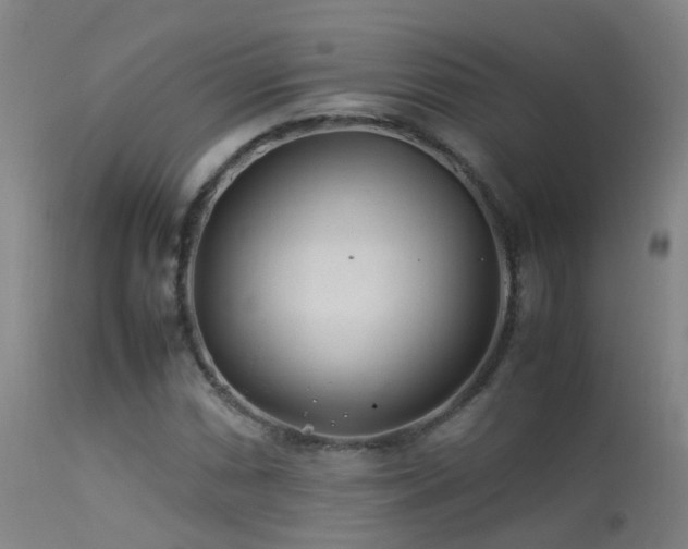 X0000113331066200909211214