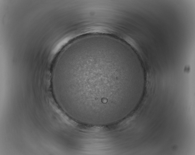 X0000113331067200909211214