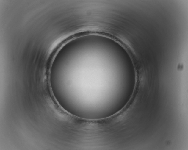 X0000113331070200909211214