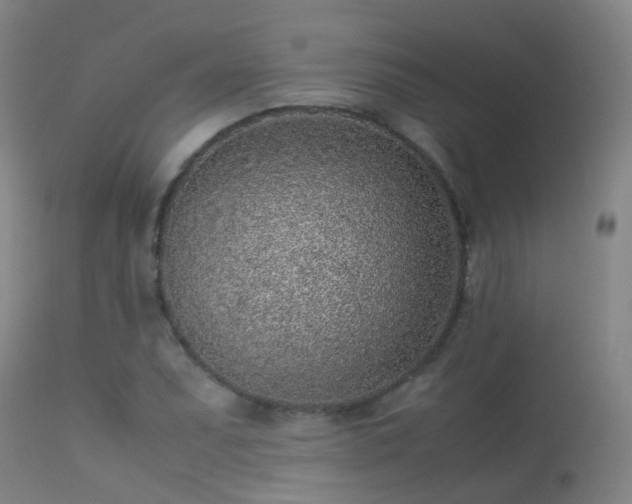 X0000113331071200909211214